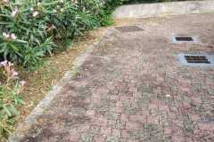 9f4994c1-dbf3-4833-853c-3bddf15d8b77